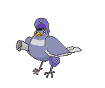 Pigeon